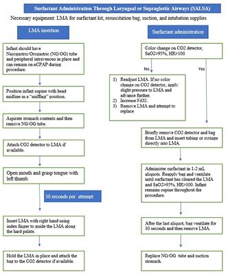 Surfactant Administration Through Laryngeal or Supraglottic Airways (SALSA): A Viable Method for Low-Income and Middle-Income Countries